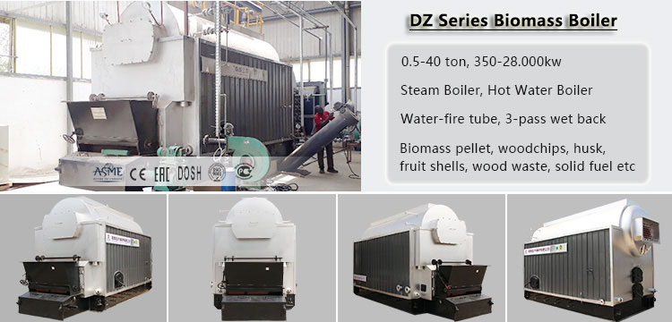 Biomass boiler, Steam Biomass Boiler, DZL boiler