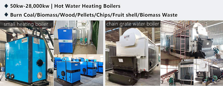 coal biomass wood fire hot water heating boiler