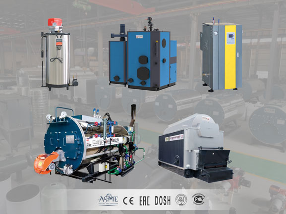 vertical electric steam generator