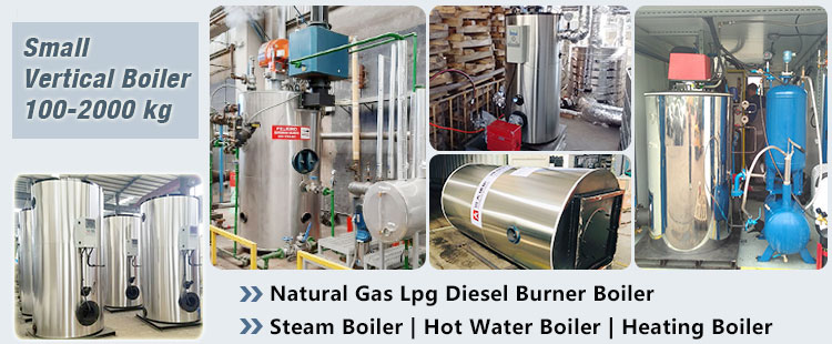 related small vertical type oil gas boiler