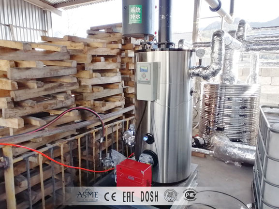 diesel oil fired steam generator