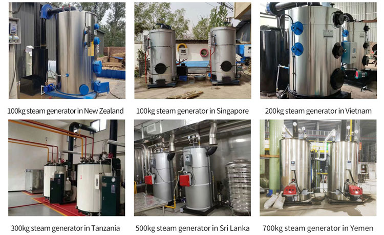 natural gas lpg diesel fired steam generator