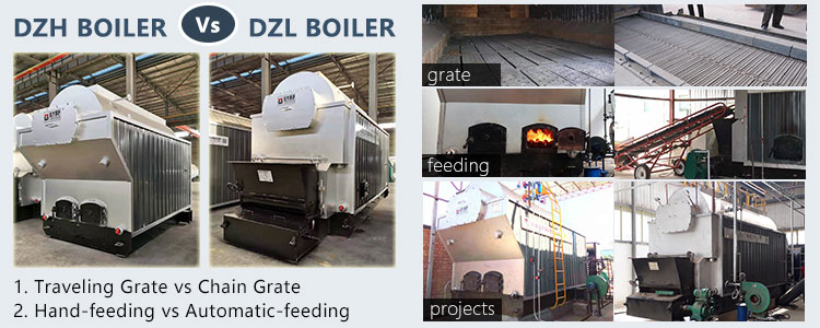 DZL biomass boiler