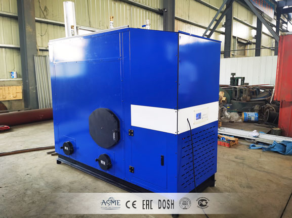 biomass steam generator(3)