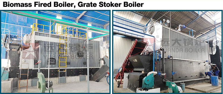 biomass reciprocating grate boiler