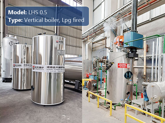 500kg vertical lpg steam boiler for laundry
