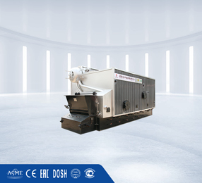 Rice husk fired boiler