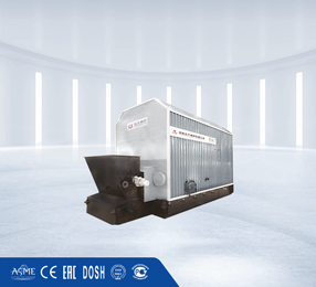 Coal fired thermal oil boiler