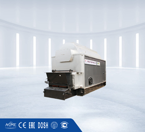 Biomass fired boiler