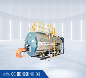 Oil gas fired boiler