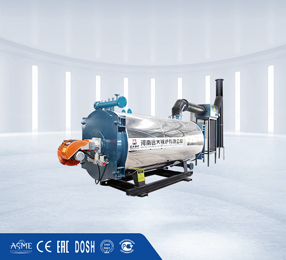 Oil gas thermal oil boiler