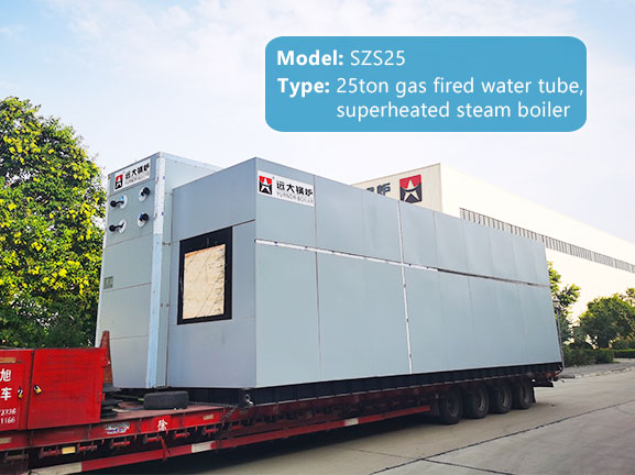 25 ton gas fired water tube boiler
