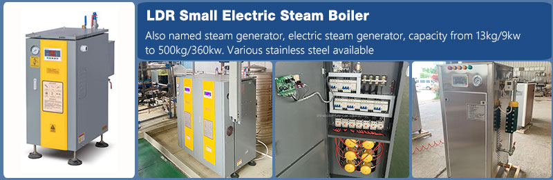 electric steam and hot water generator