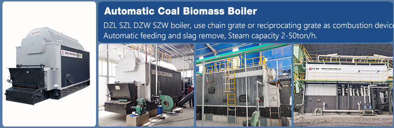 automatic coal biomass boiler