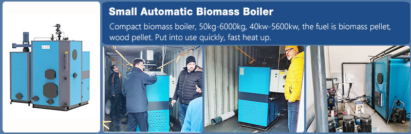 biomass pellet steam and hot water generator