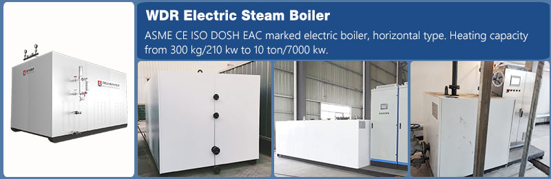 WDR horizontal electric steam and hot water boiler