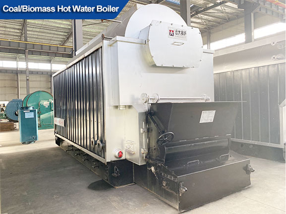 Coal Biomass Fired Hot Water Boiler Horizontal