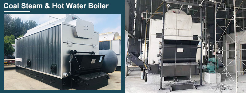 coal steam and hot water boiler