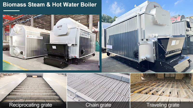 biomass steam boiler and biomass hot water boiler