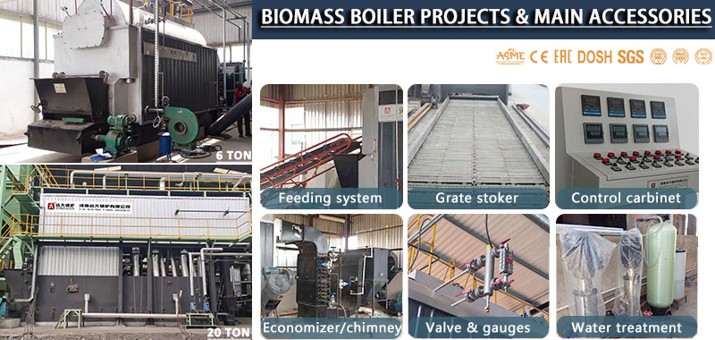 biomass fired boiler working system