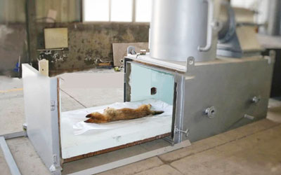 pet animal cremation incinerator