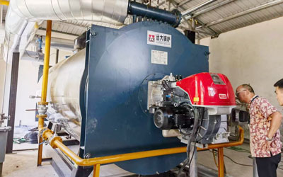 thermal oil boiler 3500kw oil heater boiler