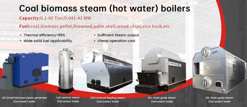 coal biomss wood fired steam boiler and hot water boilers