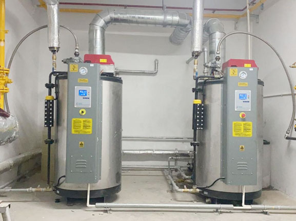 LSS water tube steam generator