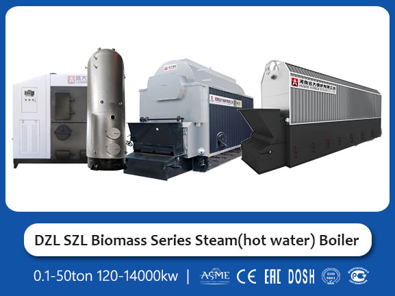 biomass wood series steam hot water boiler