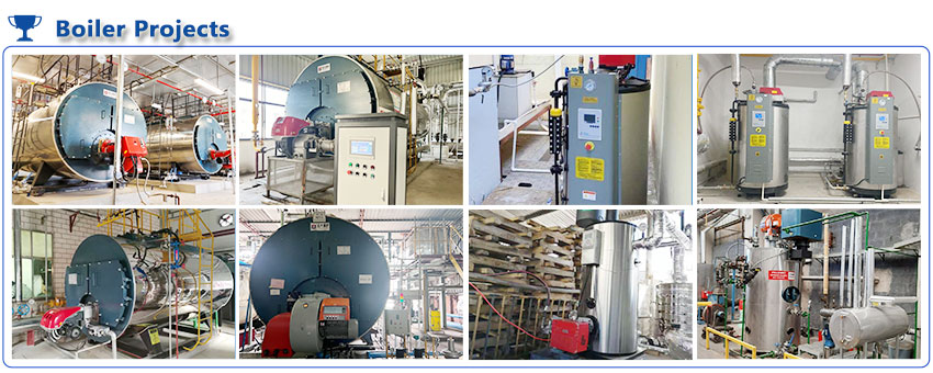 wns boiler customer projects