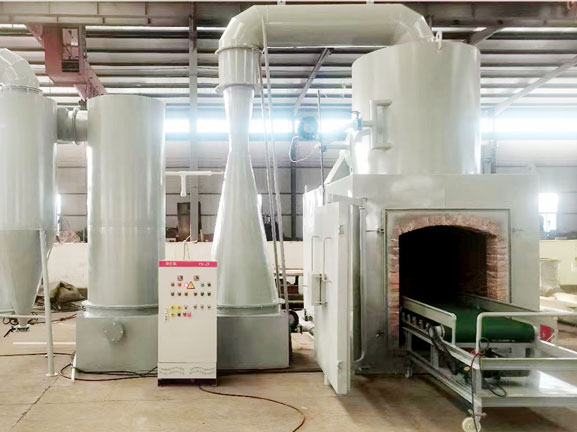 300kg farm animal carcass incinerator