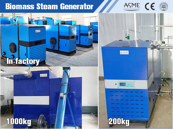 biomass steam generator