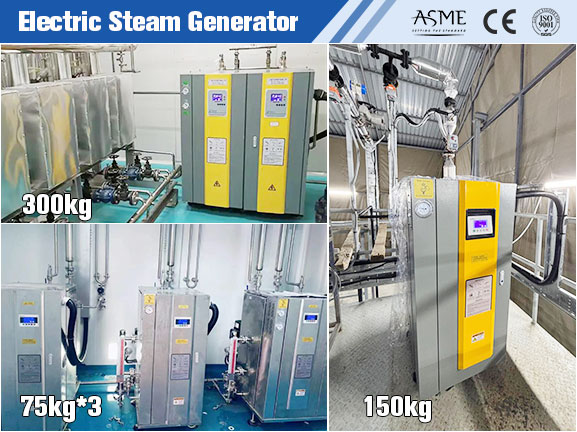 electric steam generator