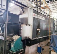 Yuanda Boiler 4 Ton Palm Shell Fired Boiler in Indonesia