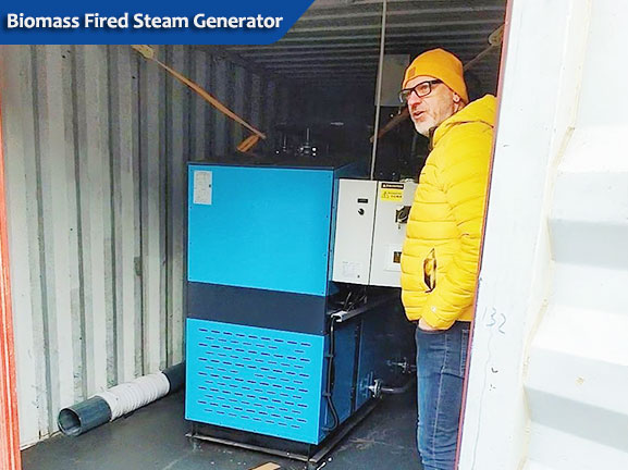 biomass wood steam generator