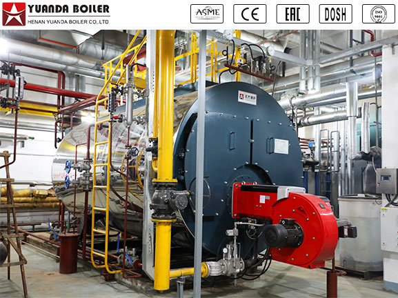 wns boiler and custom design boilers