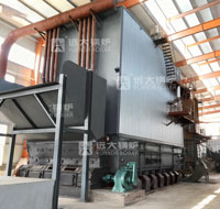17 MW Chain Grate Thermal Oil Boiler for Vietnam Wood Factory