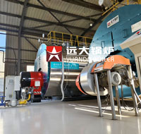 10 ton and 20 ton Gas Fuel Steam Boiler in Egypt