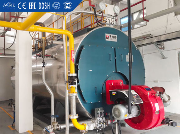 wns boiler and custom design boilers