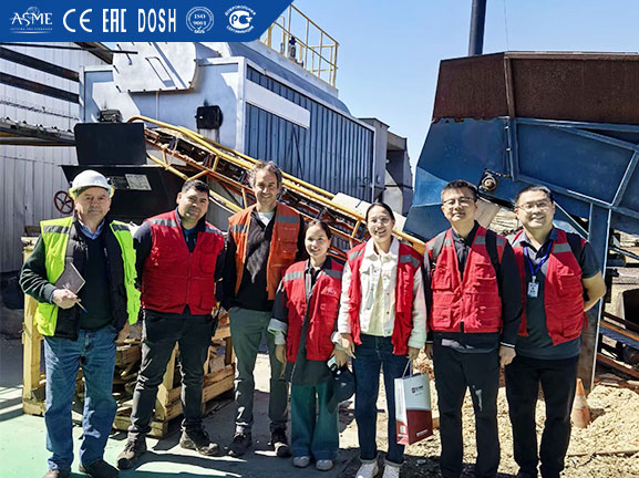 woodchips boiler, reciprocating grate boiler, step grate boiler