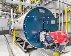 Yuanda Boiler Engineers Complete Maintenance Service for 4 Ton Steam Boiler in P