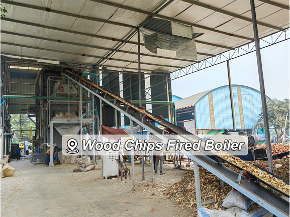 coal wood fuel steam boiler
