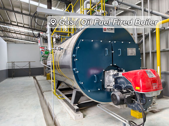 gas or oil fuel steam boiler