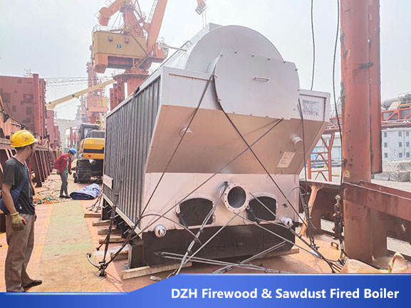 DZH biomass wood boiler
