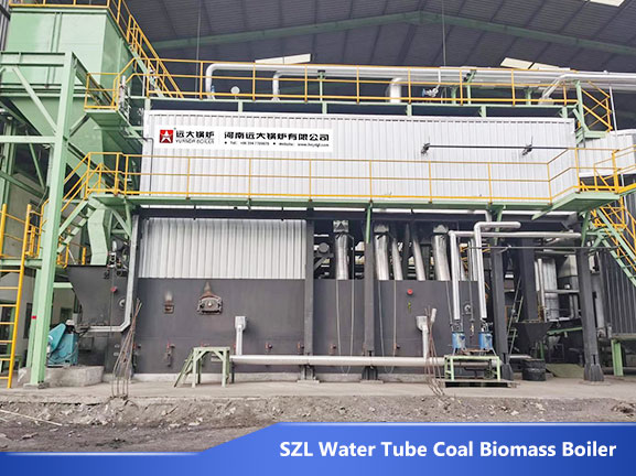wood biomass steam boiler