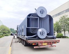 Step Grate 25 Ton Biomass Woodchips Boiler Shipping to BD