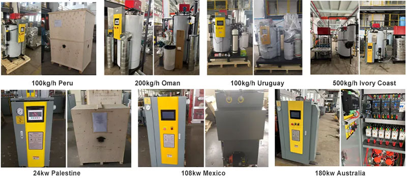packaged and delivery for lpg diesel natural gas steam generator
