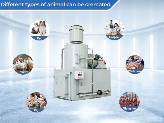 300kg poultry incinerator
