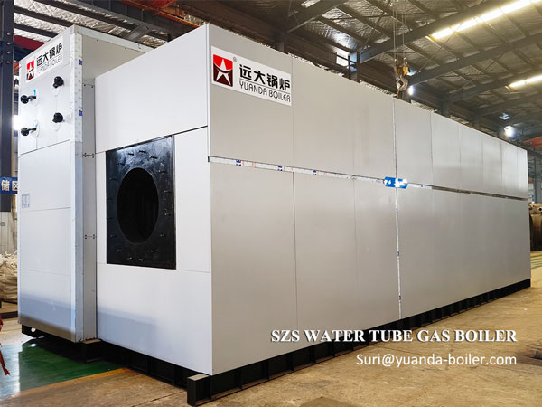 20-ton-water-tube-steam-boiler-running.jpg