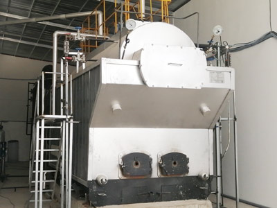 2ton-coal-wood-steam-boiler-price.jpg